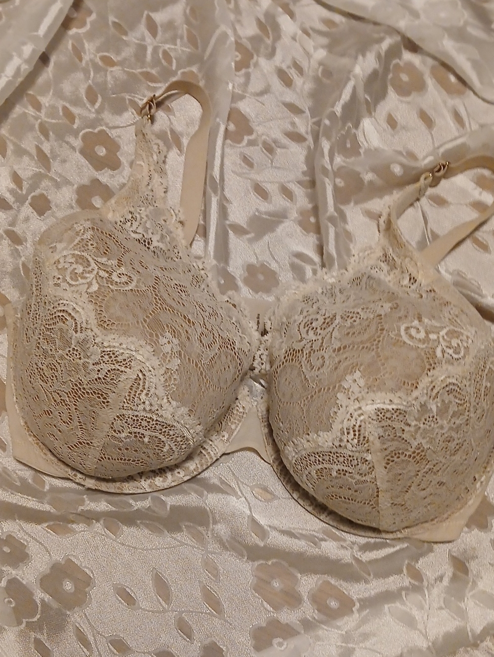 ThirdLove Lace Contour Plunge Underwire Bra in Cream